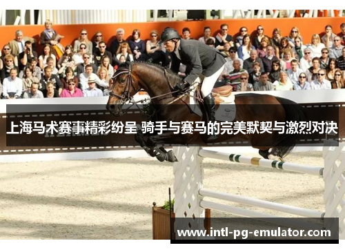 上海马术赛事精彩纷呈 骑手与赛马的完美默契与激烈对决 上海马术赛事精彩纷呈 骑手与赛马的完美默契与激烈对决