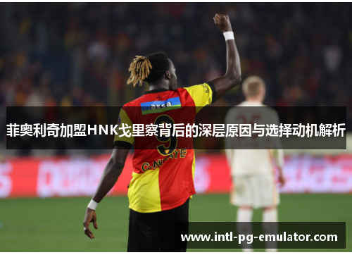 菲奥利奇加盟HNK戈里察背后的深层原因与选择动机解析 菲奥利奇加盟HNK戈里察背后的深层原因与选择动机解析