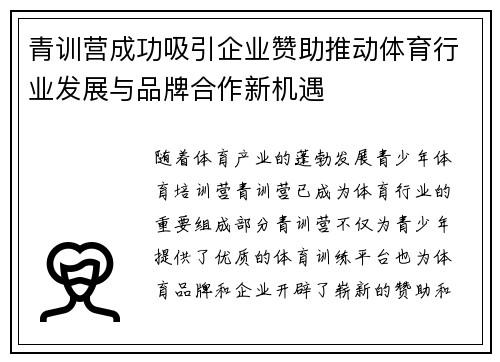 青训营成功吸引企业赞助推动体育行业发展与品牌合作新机遇
